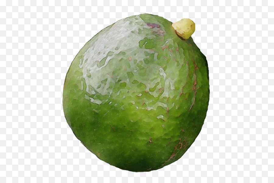 Vegetal，Esfera PNG