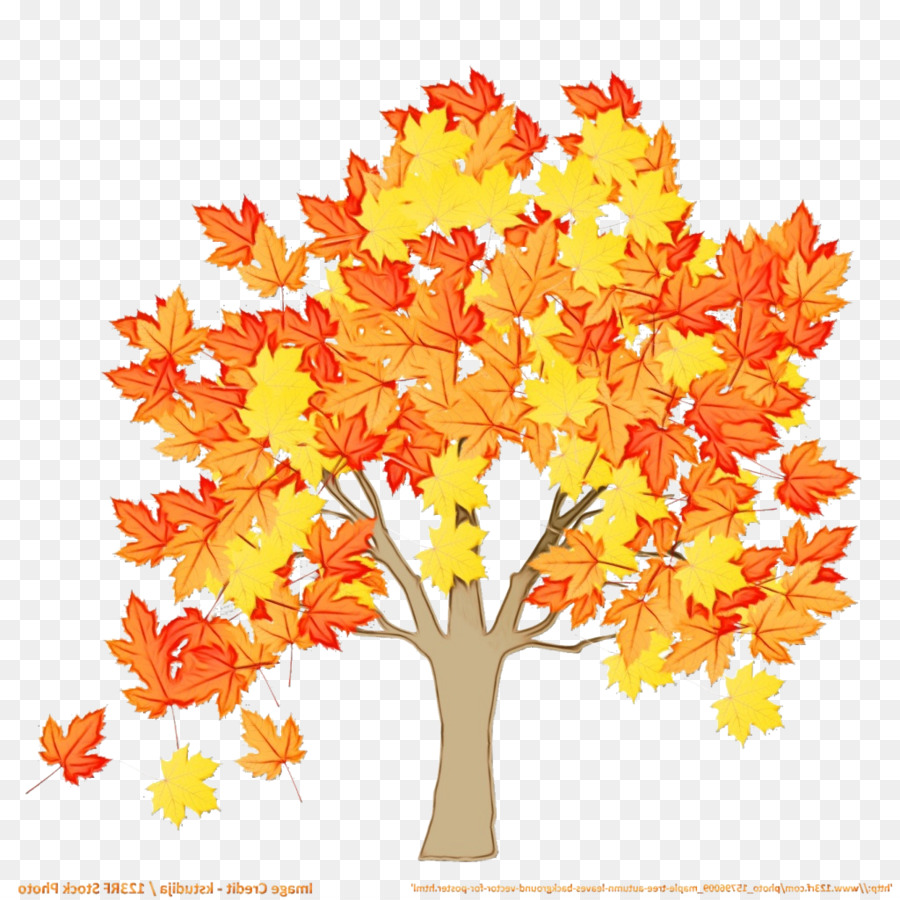 Árbol，Otoño PNG