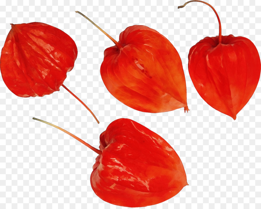 Habanero，Pimiento De Piquillo PNG