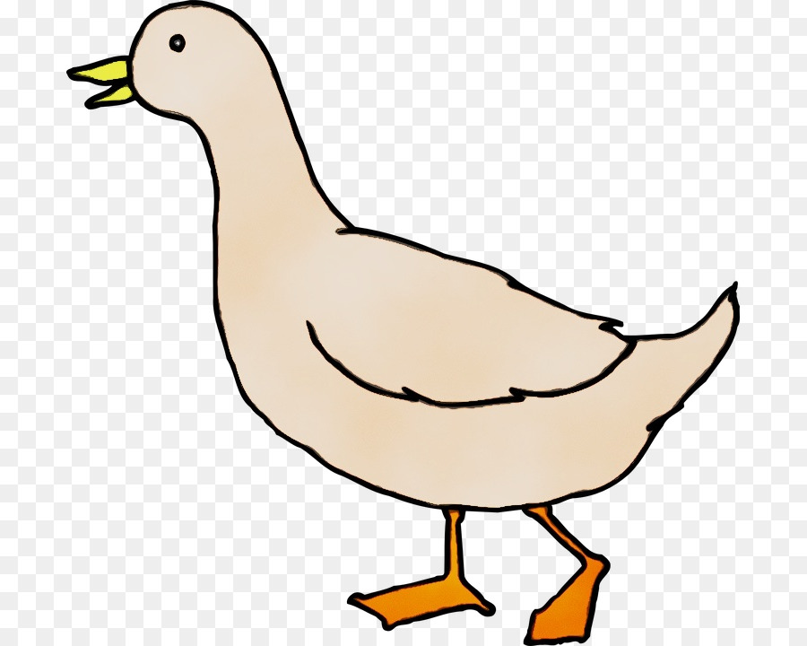 Pato，Ganso PNG