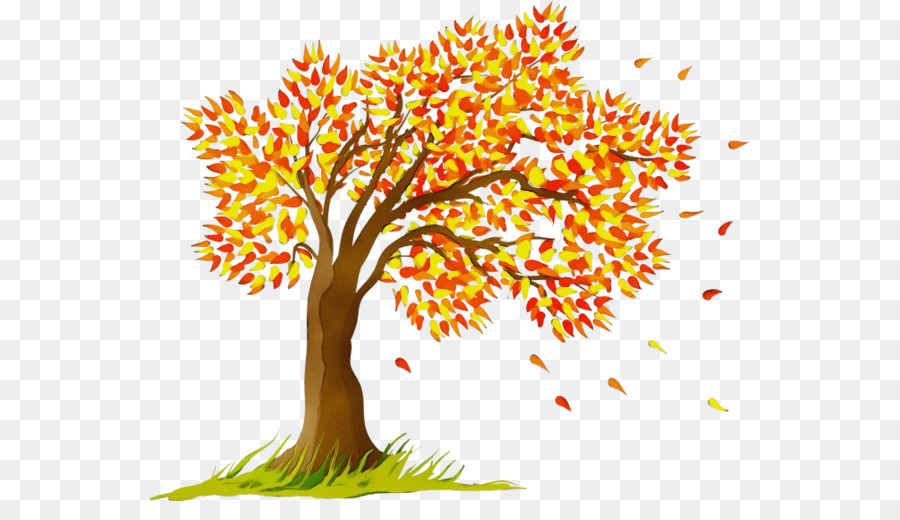 árbol De Otoño，Hojas De Otoño PNG