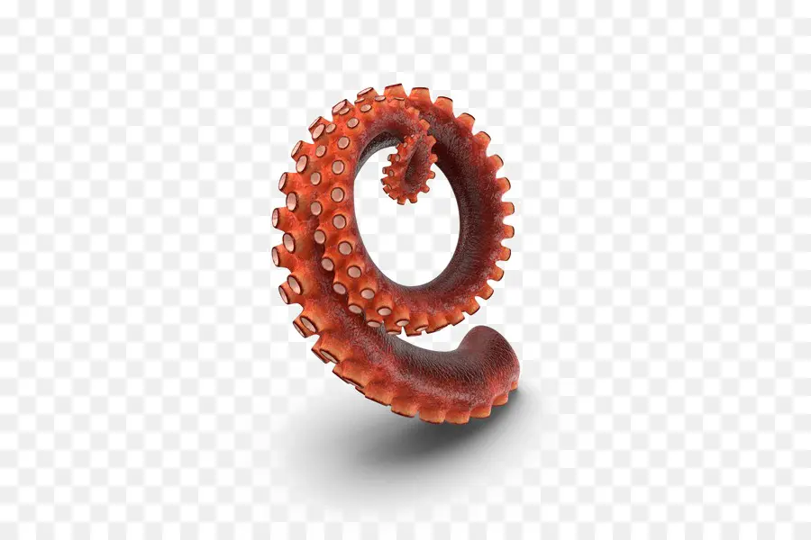 Pulpo，Tentáculo PNG