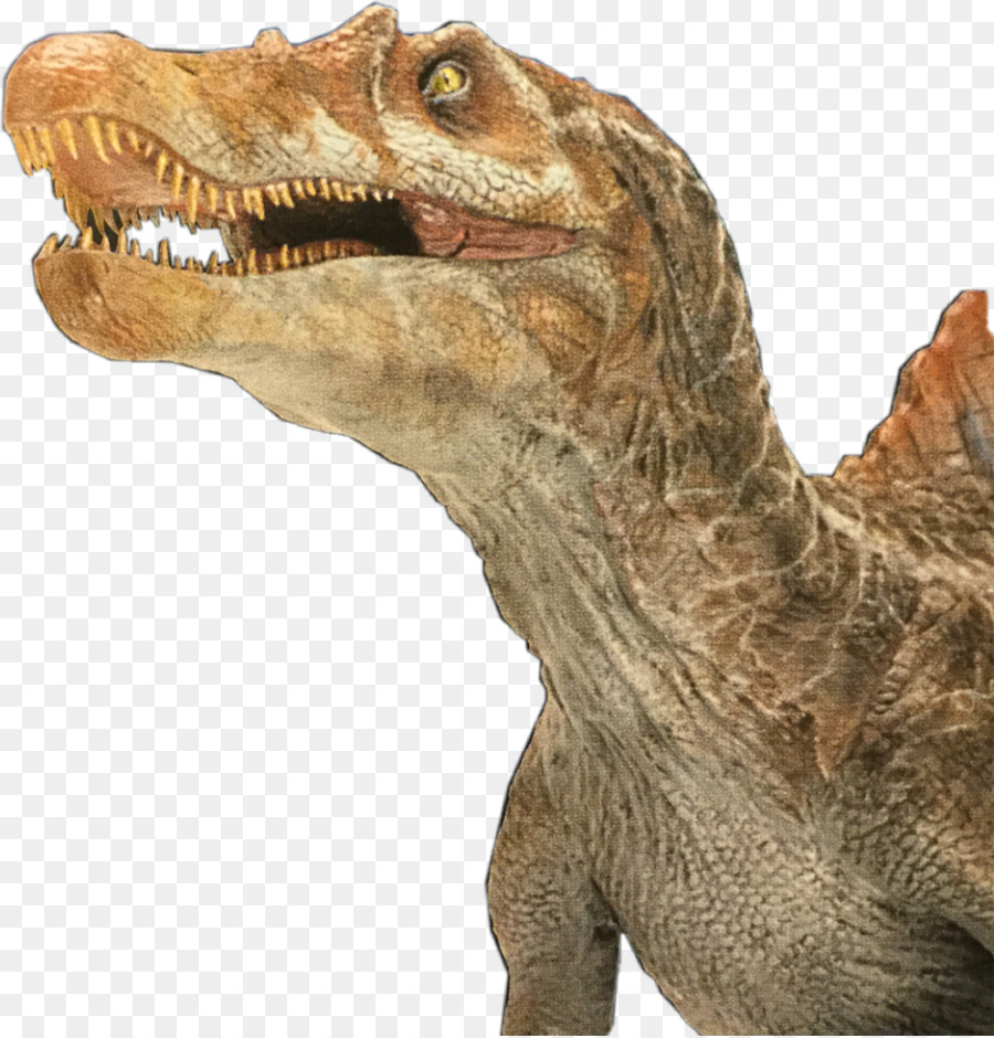 El Tyrannosaurus Rex，Spinosaurus PNG