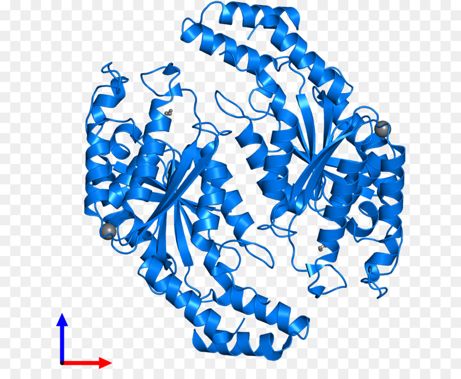 Línea，El Cuerpo De La Joyería PNG