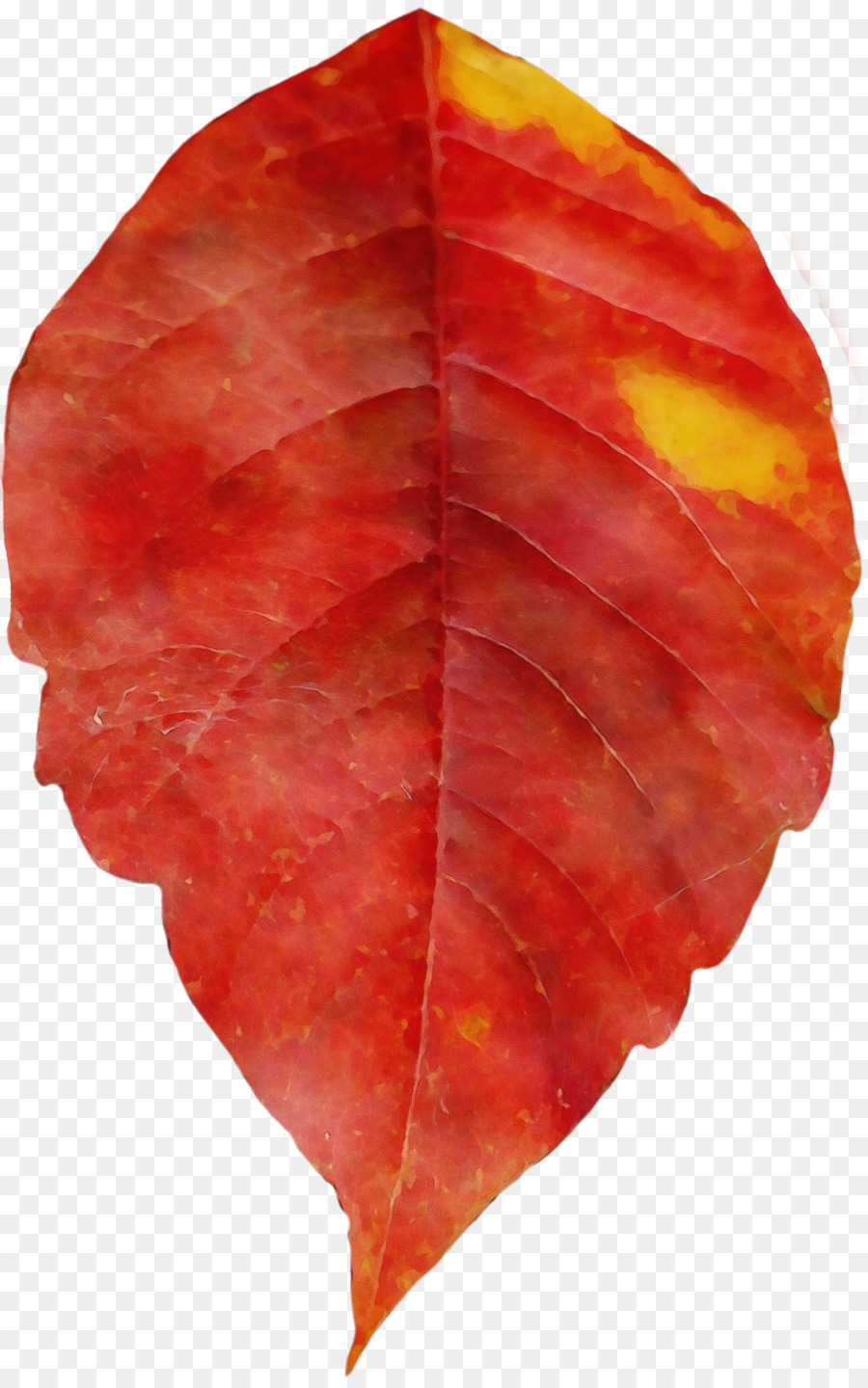 Hoja Roja，Otoño PNG