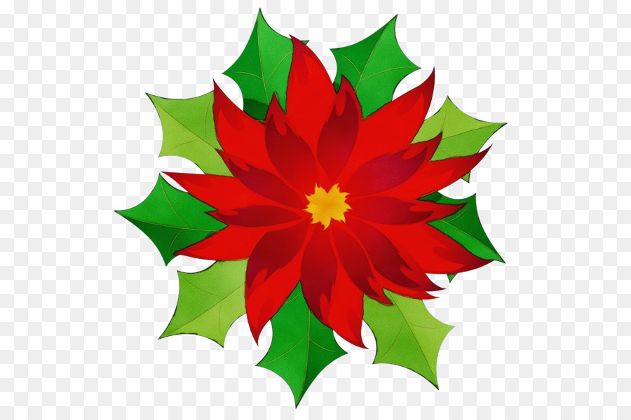 La Flor De Pascua，Clip Art De Navidad PNG