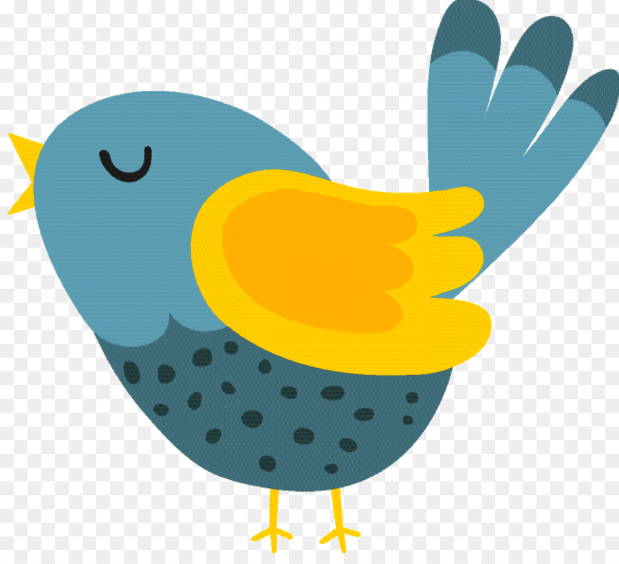 Pico，Aves PNG