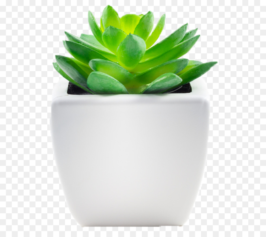 Florero，Maceta PNG