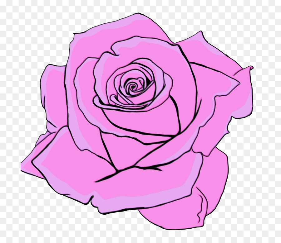 Las Rosas De Jardín，Diseño Floral PNG