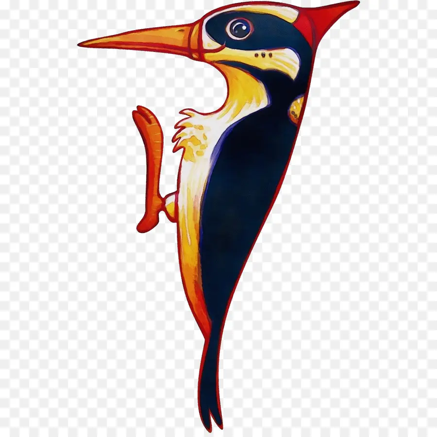 Woodpecker，Aves PNG