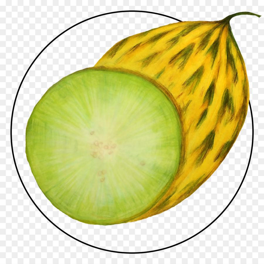 Melón，Kiwi PNG