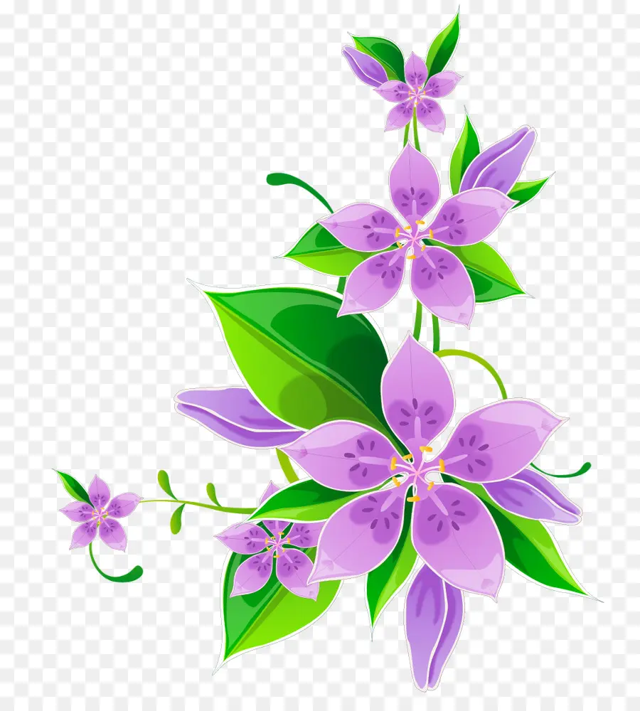 Flores Moradas，Hojas PNG