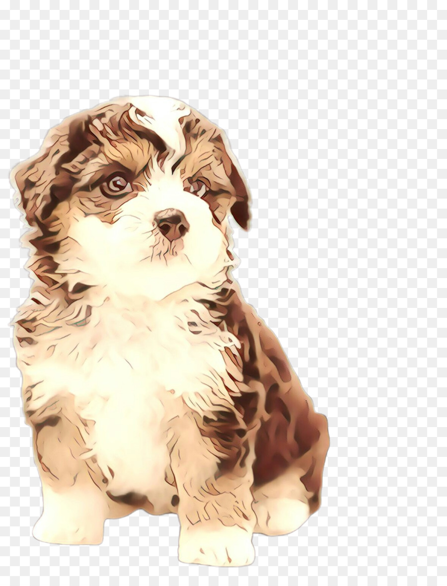 Lindo Cachorro，Mascota PNG