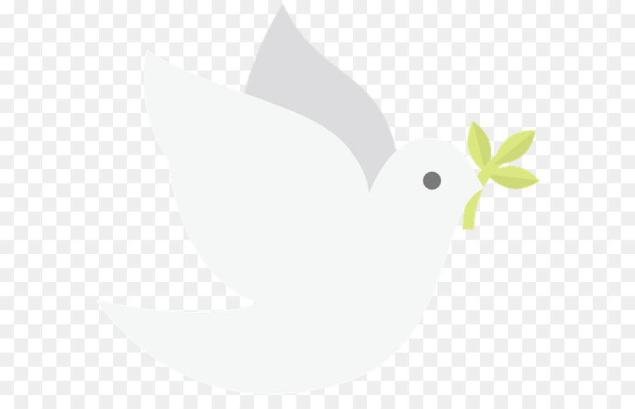 Pico，Aves PNG