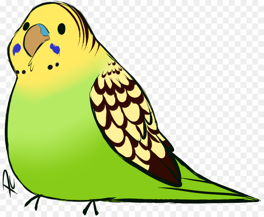 Pájaro，Plumas PNG