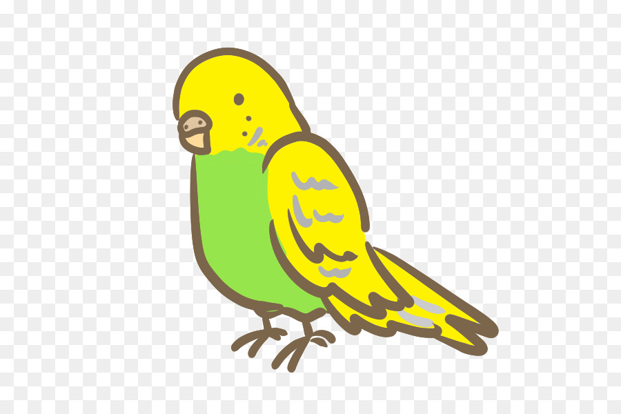 Budgericar，Aves PNG