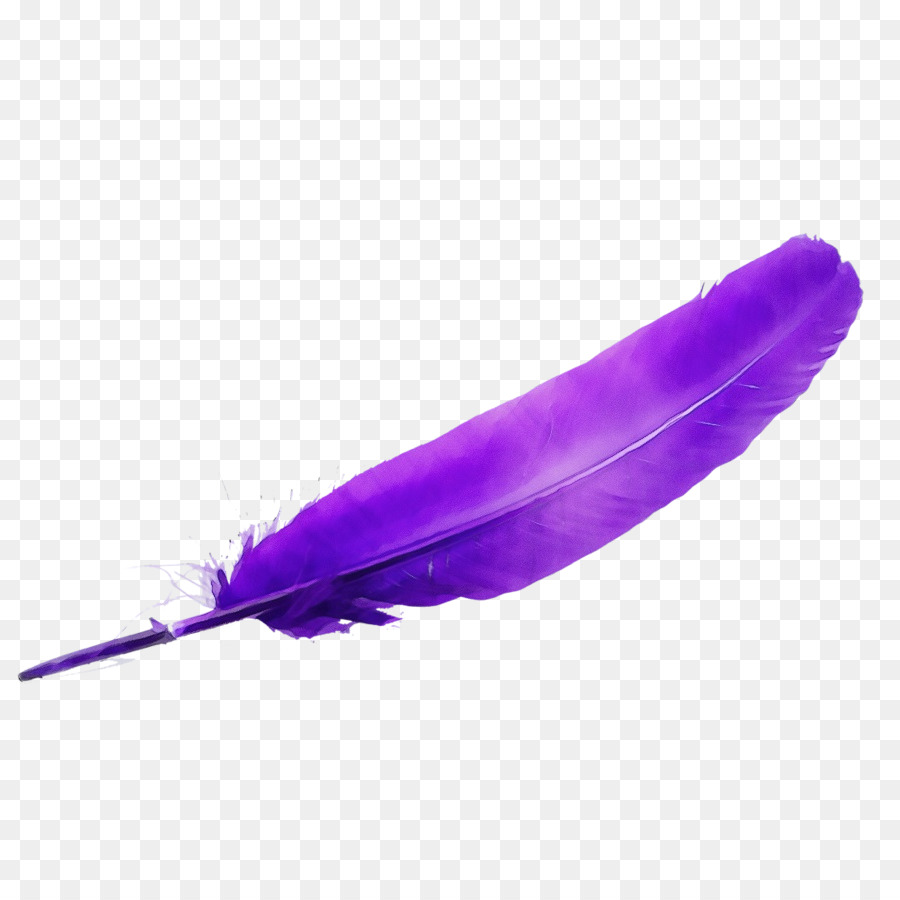 Morado，Pluma PNG