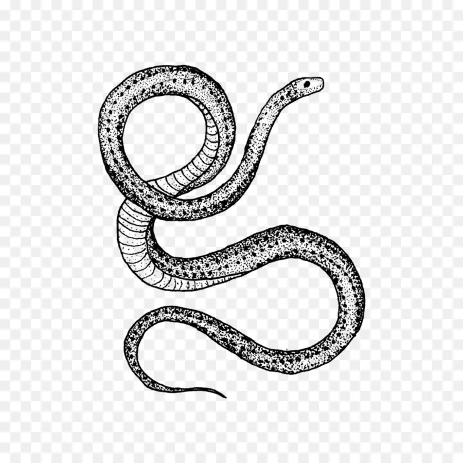 Las Serpientes，Dibujo PNG