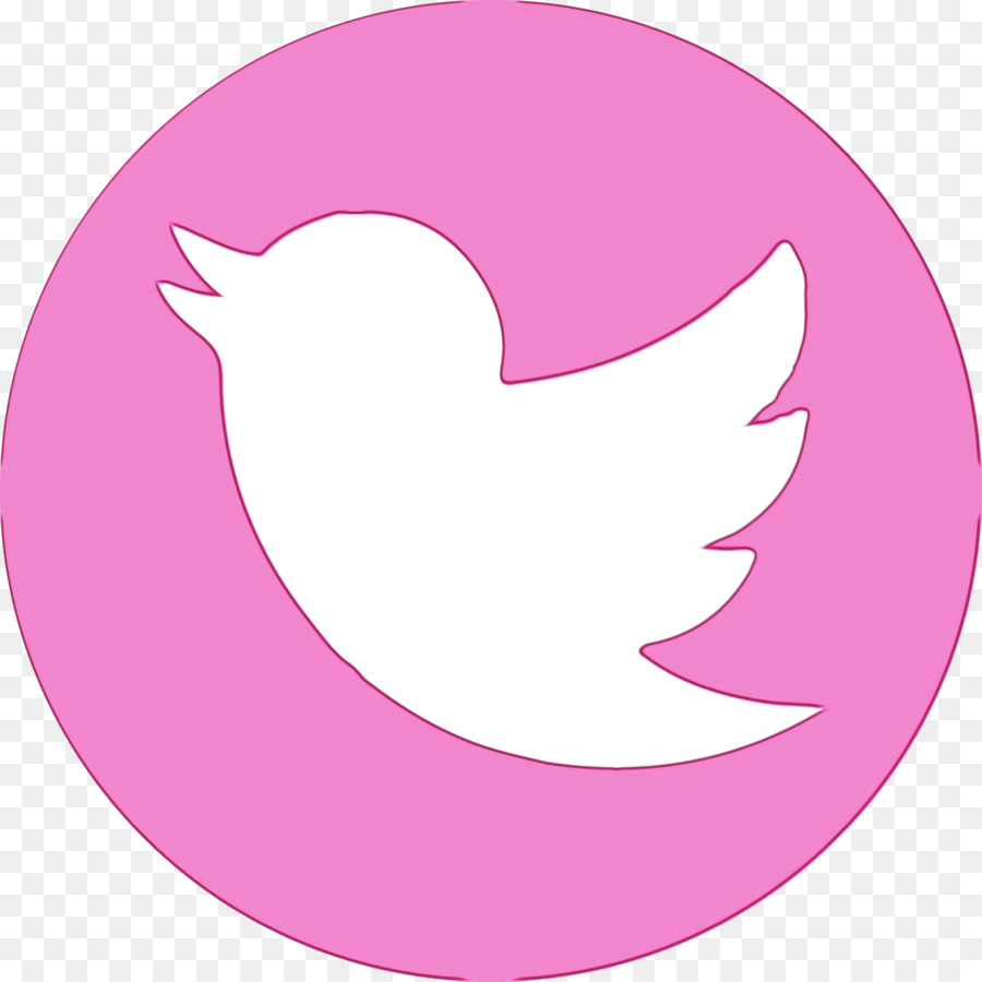 Logotipo De Twitter，Redes Sociales PNG