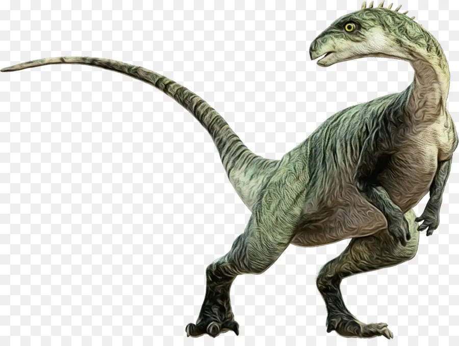 El Tyrannosaurus Rex，Velociraptor PNG