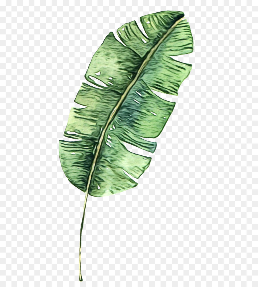 Hoja Azul，Planta PNG