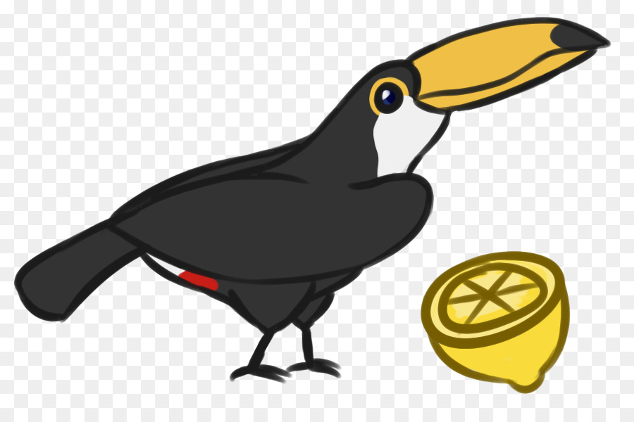 Pico，Aves PNG