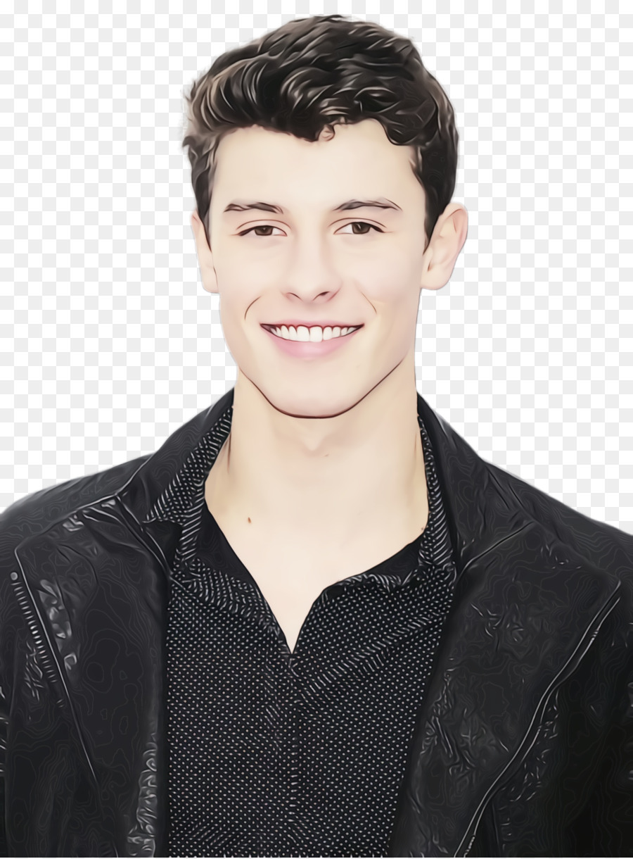 Shawn Mendes，American Music Awards De 2016 PNG