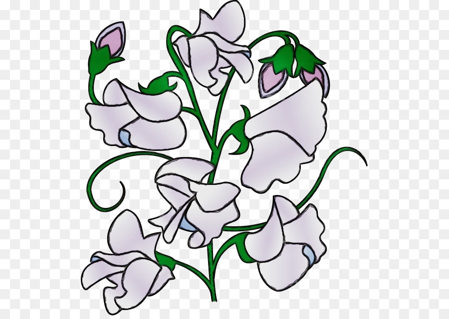 Sweet Pea，Guisante PNG