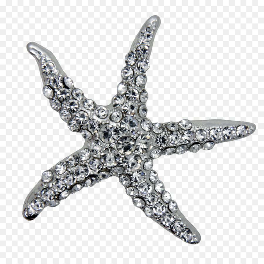 Estrella De Mar，Panorama PNG