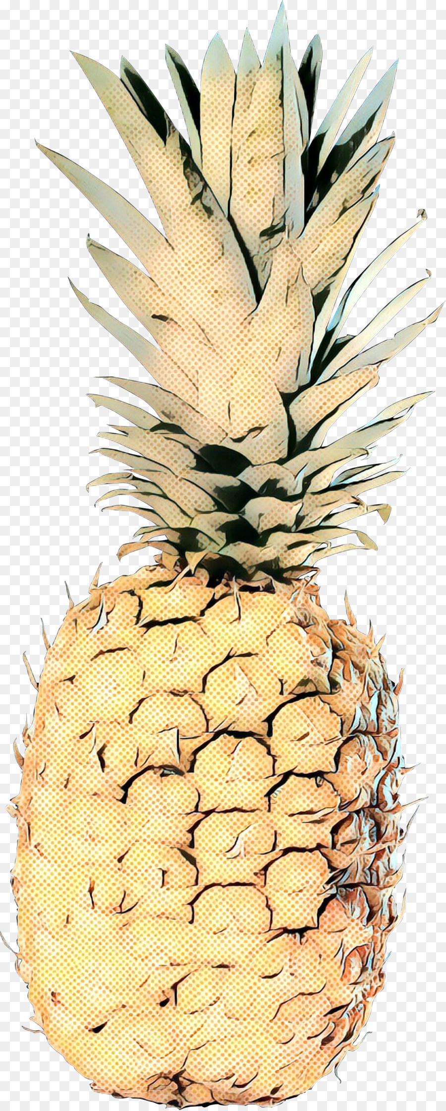 Piña Azul，Fruta PNG