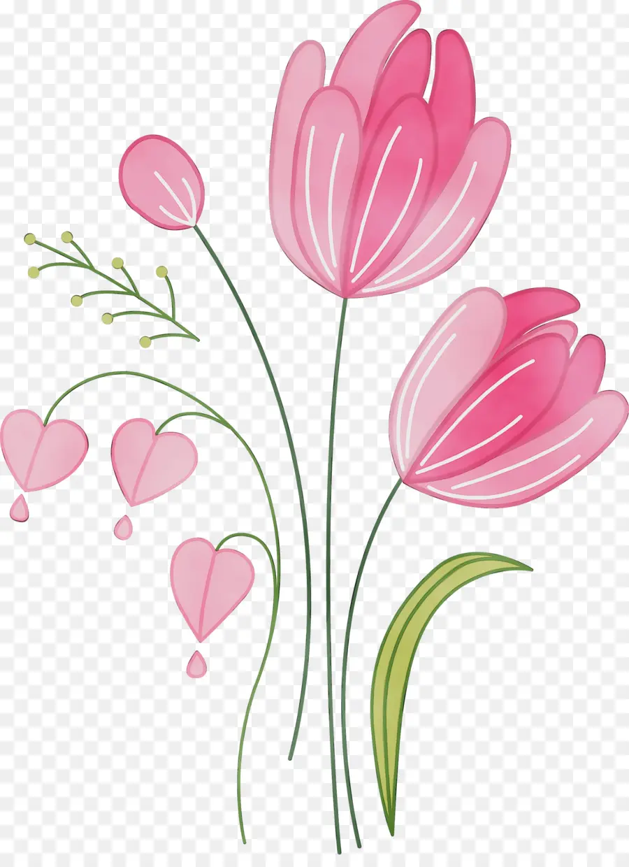 Tulip，Flor PNG