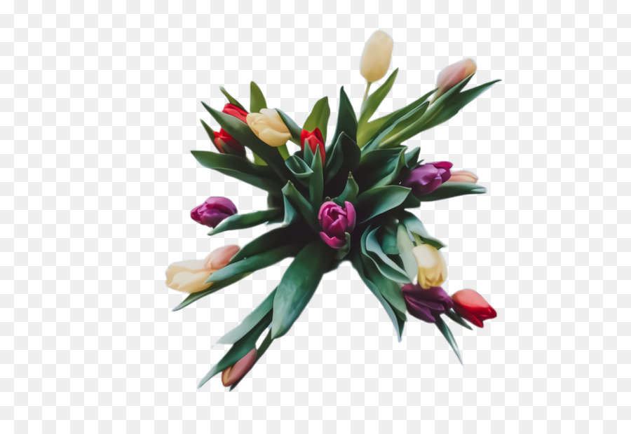 Día De San Valentín，8 De Marzo PNG