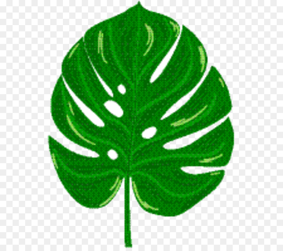 Hoja，Árbol PNG