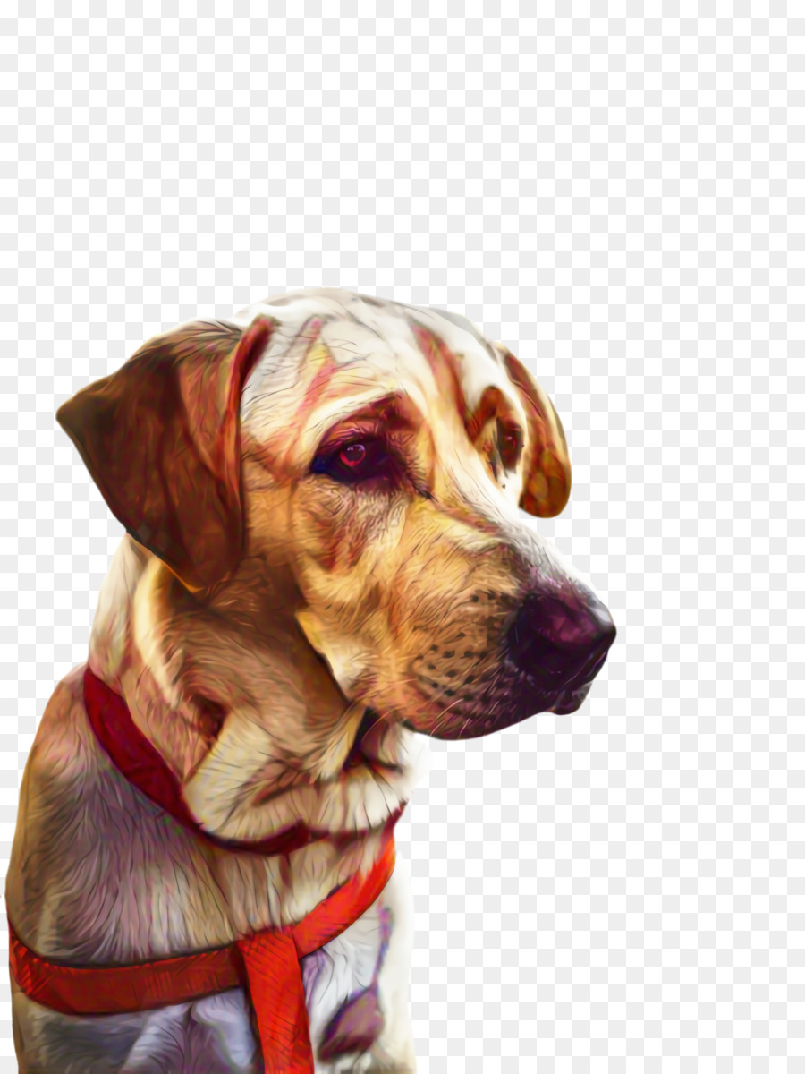 Raza De Perro，Puntero PNG