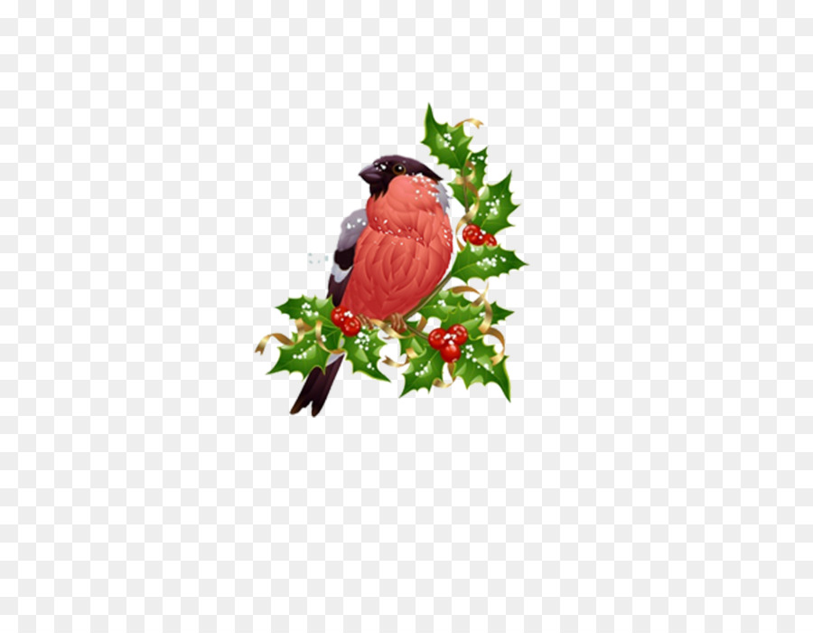 Adorno De Navidad，Camachuelo PNG