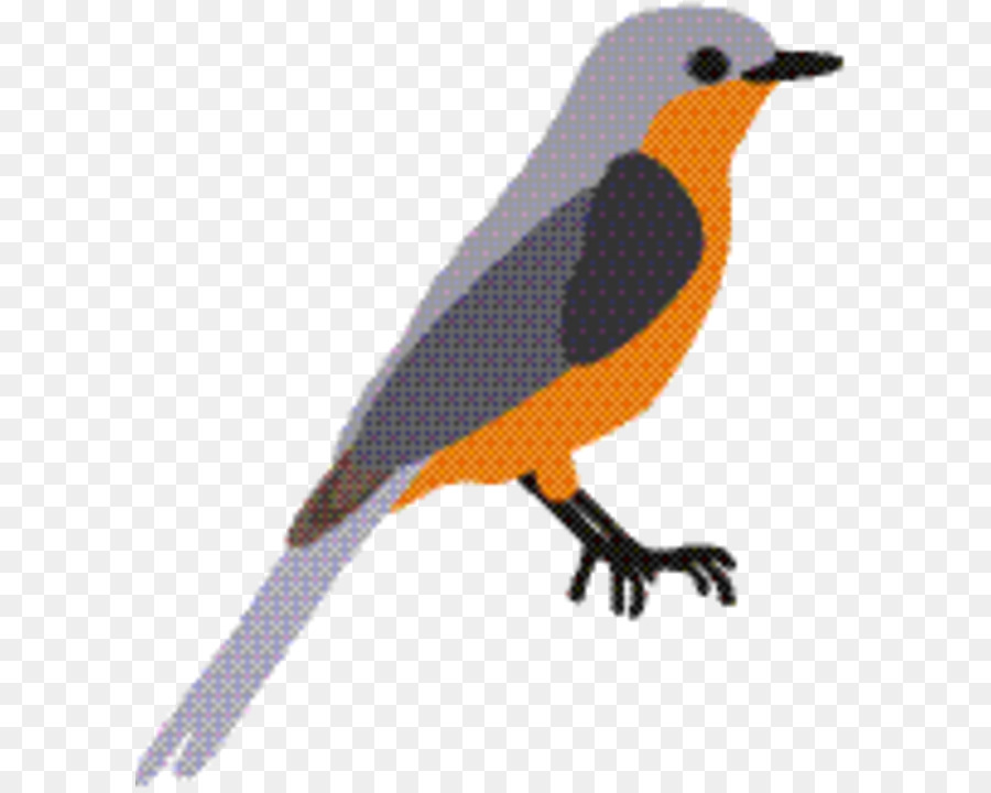 Los Pinzones，Viejo Mundo Orioles PNG