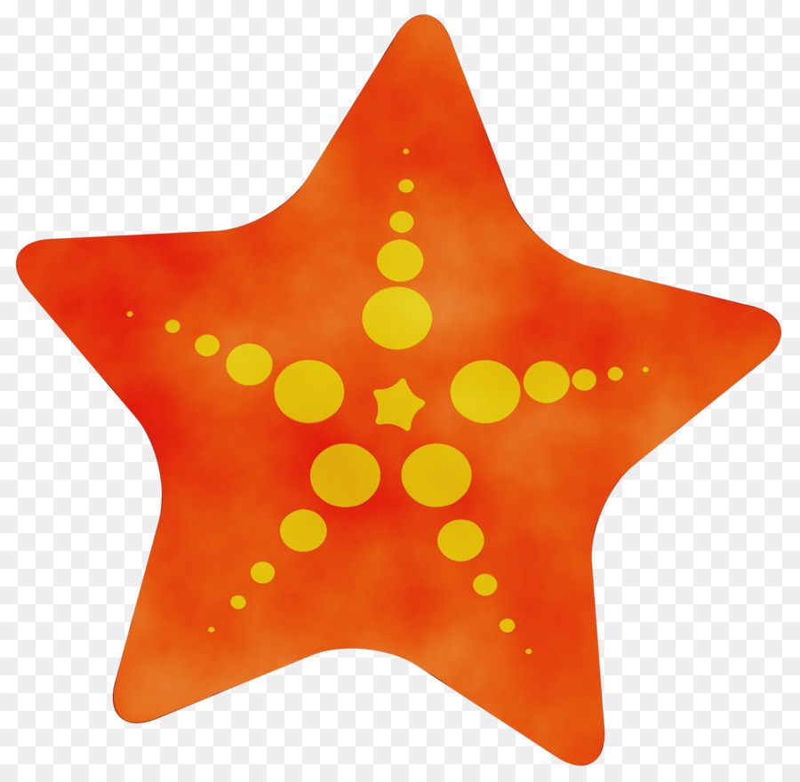 Estrella De Mar，Mar PNG