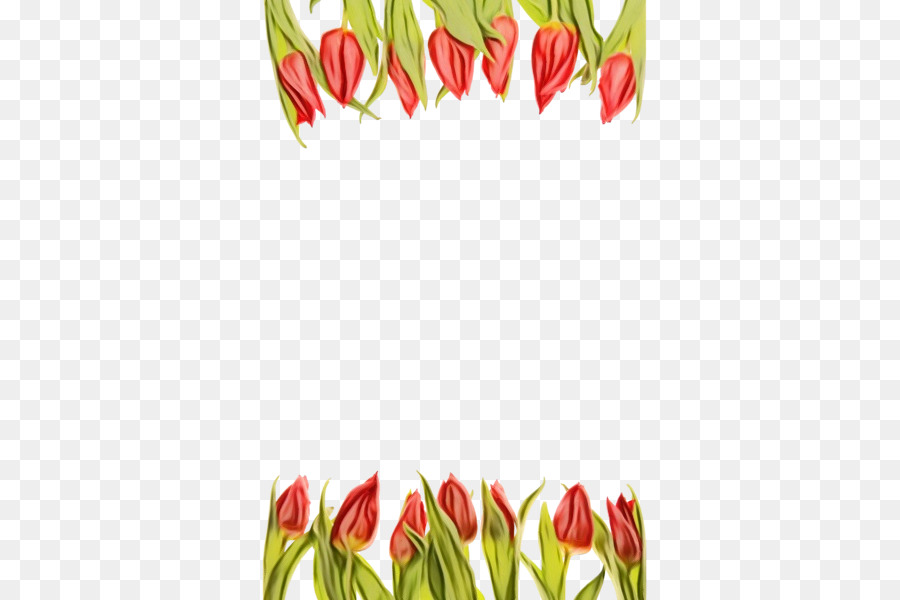 Tulip，Diseño Floral PNG