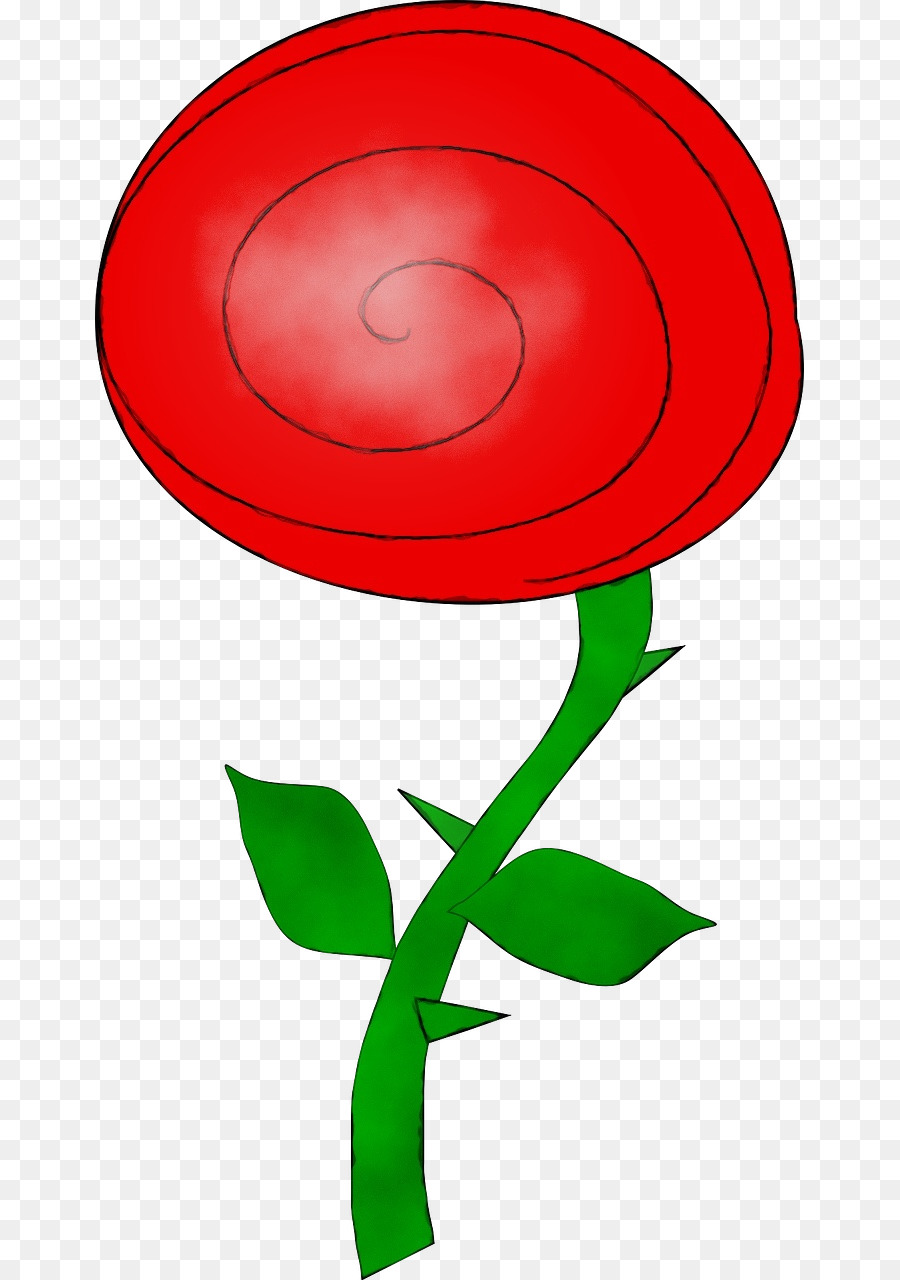 Rosa，Flor PNG