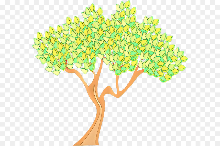 Árbol，La Corteza PNG