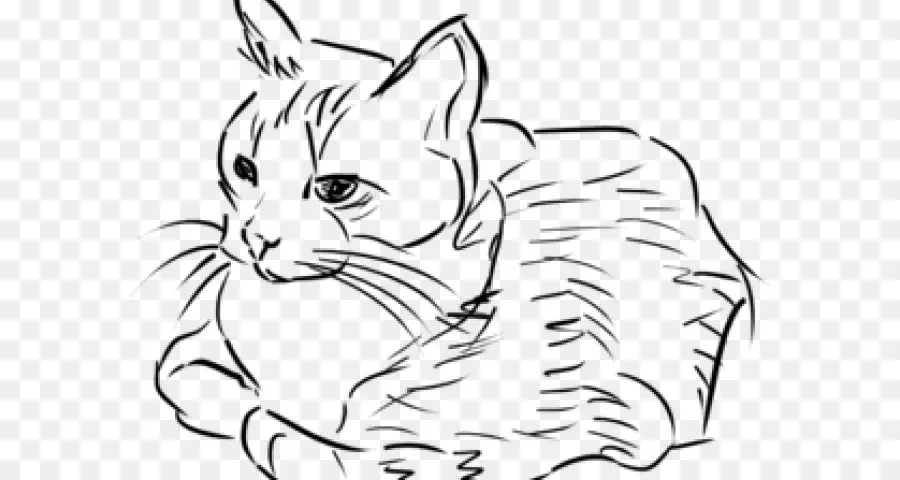 Gato，Dibujo PNG