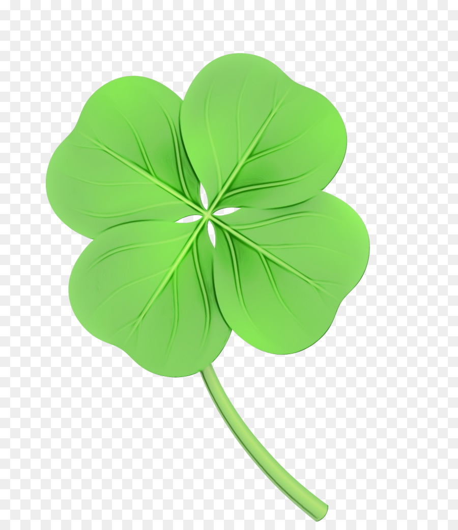 Trébol De Cuatro Hojas，Shamrock PNG