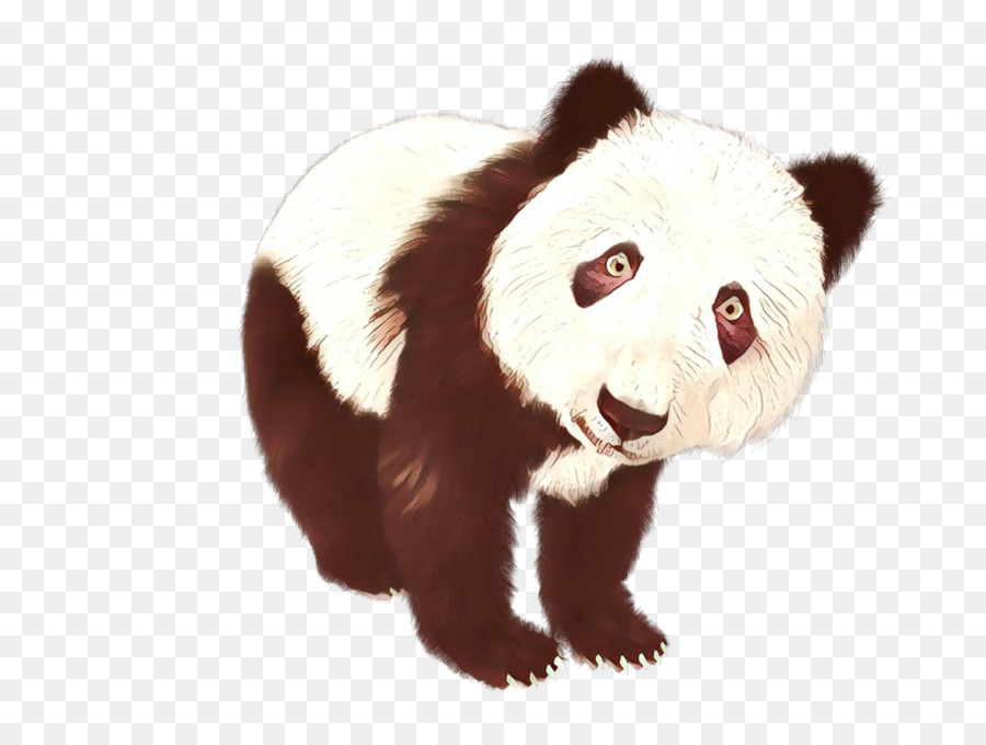 El Panda Gigante，Video PNG