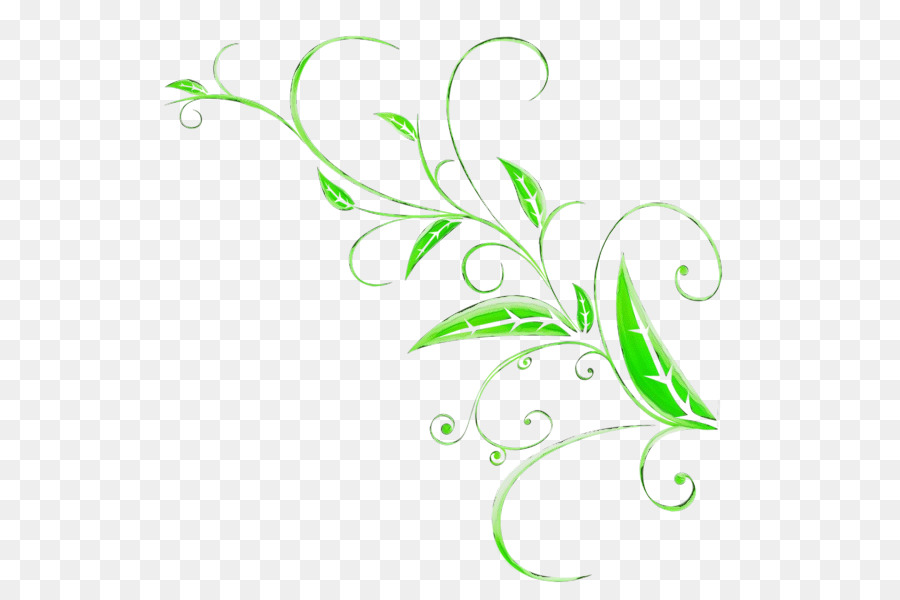 Planta Abstracta，Hojas PNG