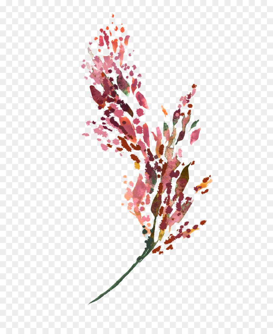 Ramas Florecientes，Florecer PNG