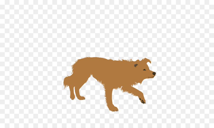 Border Collie，Rough Collie PNG