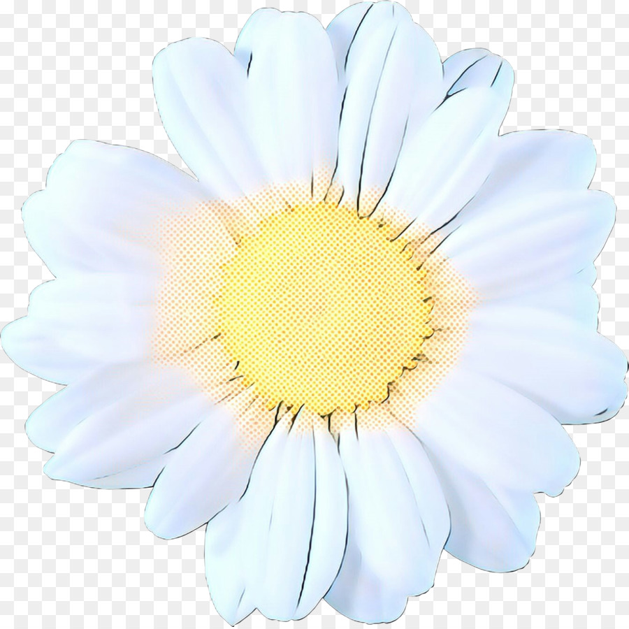 Transvaal Daisy，Las Flores Cortadas PNG