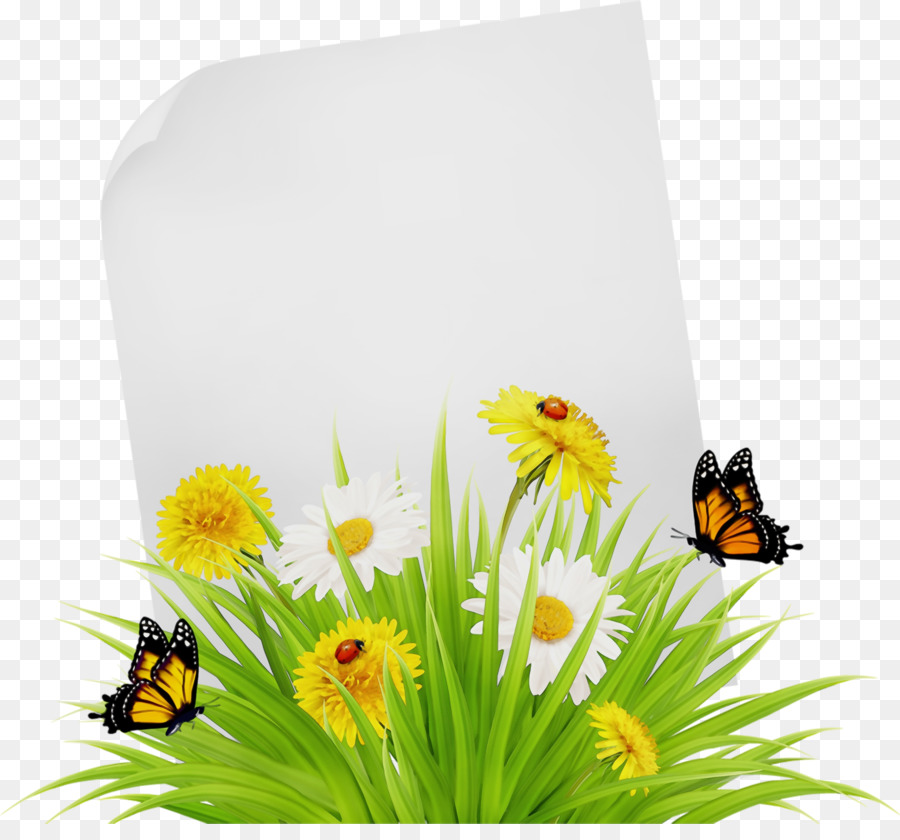 Flor，Verano PNG