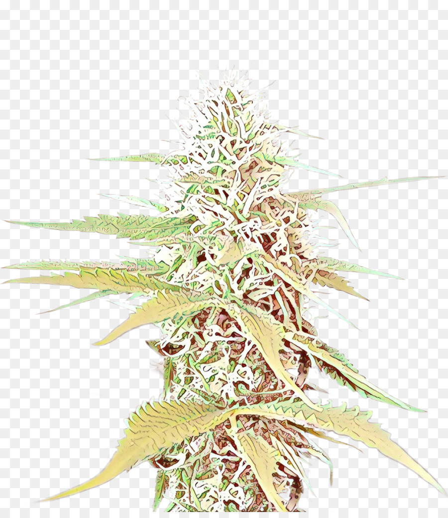 El Cannabis，Árbol PNG