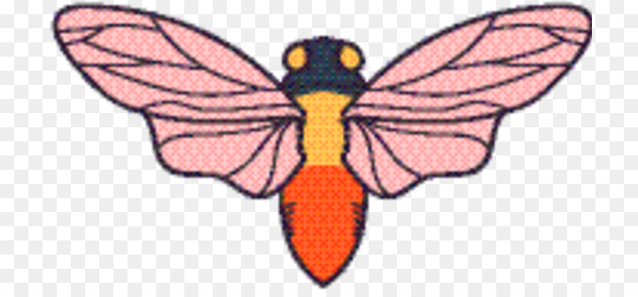 La Mariposa Monarca，La Polilla PNG